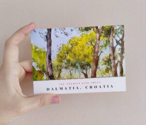 Croatia pine trees postcard
